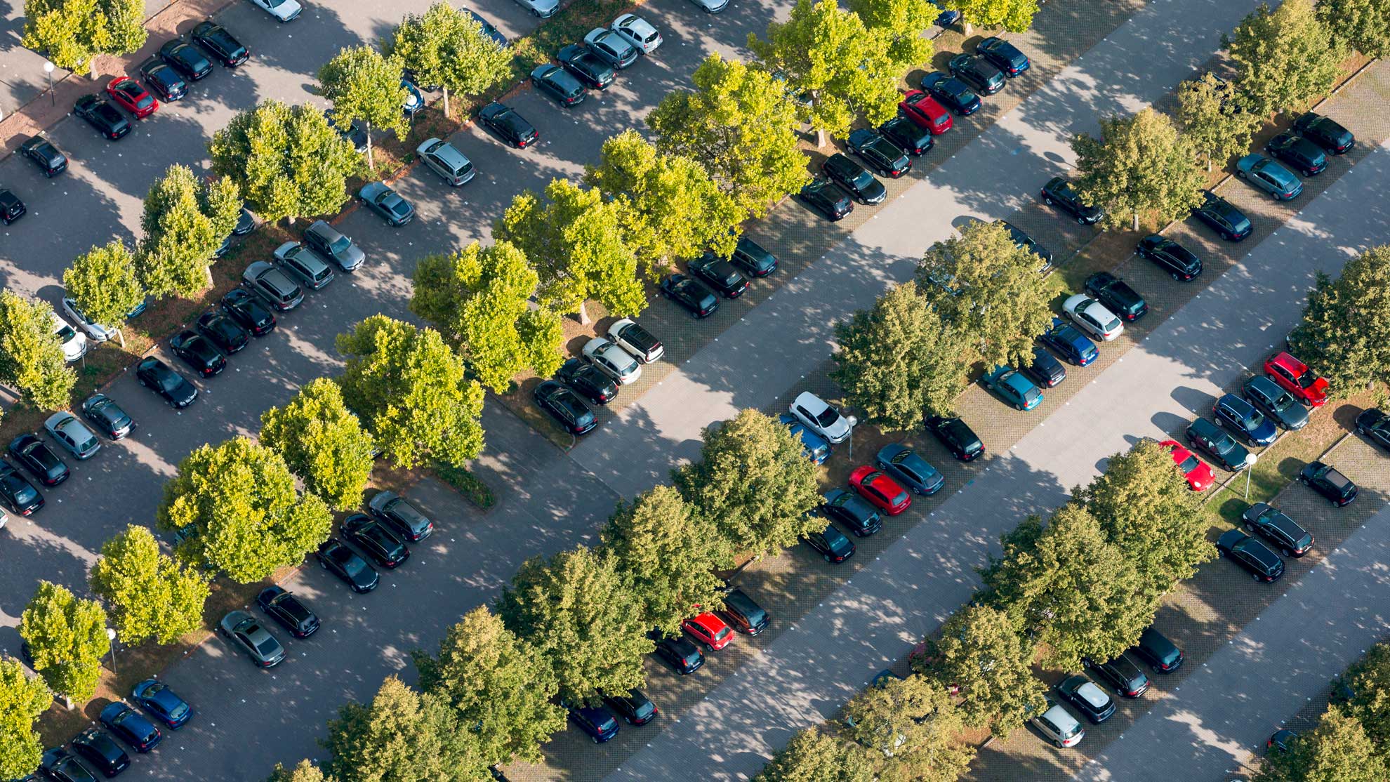 Luftbild von Parkplatzflächen mit Bäumen - das Thema ist Bestandsdatenerfassung von Freiflächen - wir liefern die Dokumentation der Freiflächen Ihrer Immobilien.